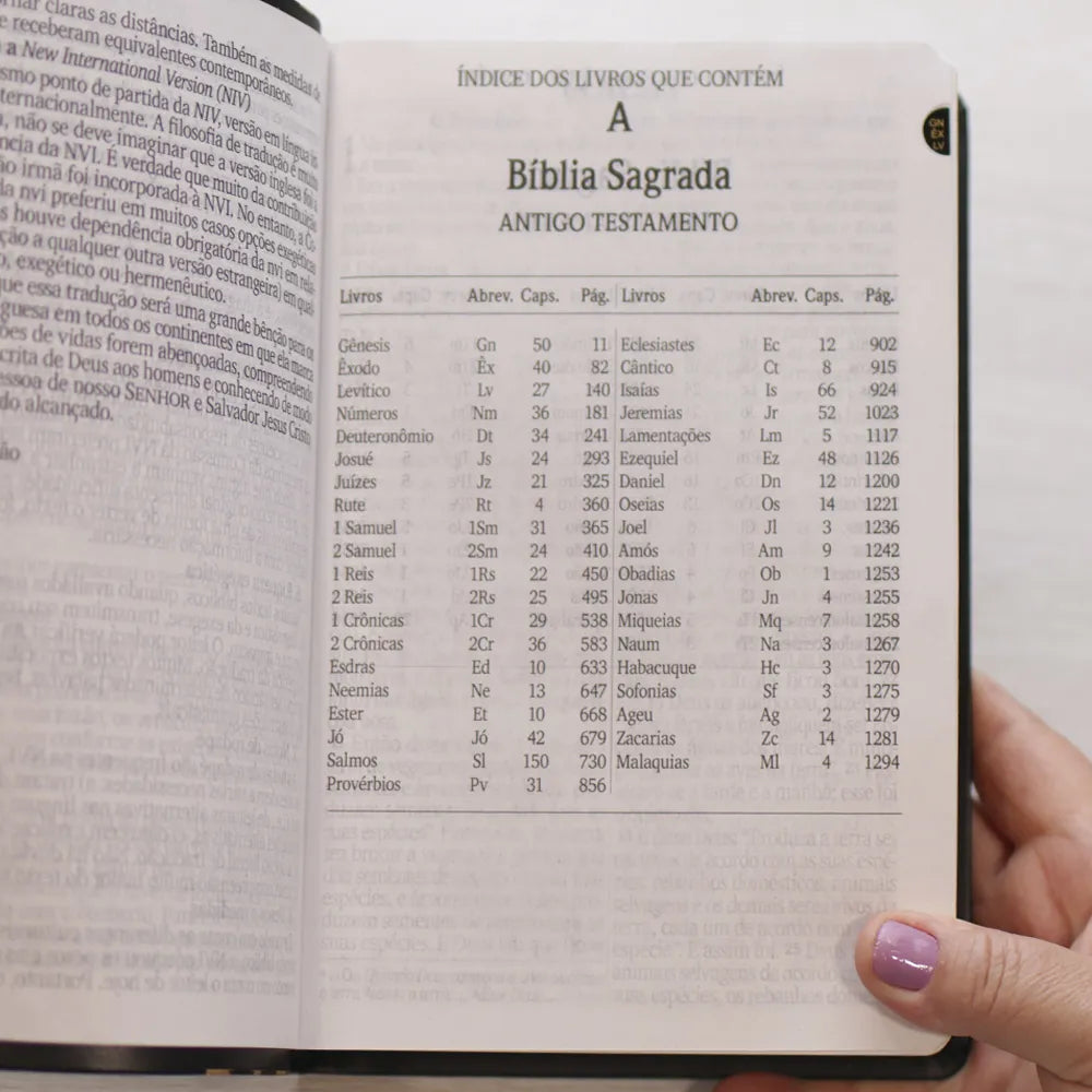 Bíblia Sagrada Letra Jumbo NVI Capa Arabesco Preta Antigo