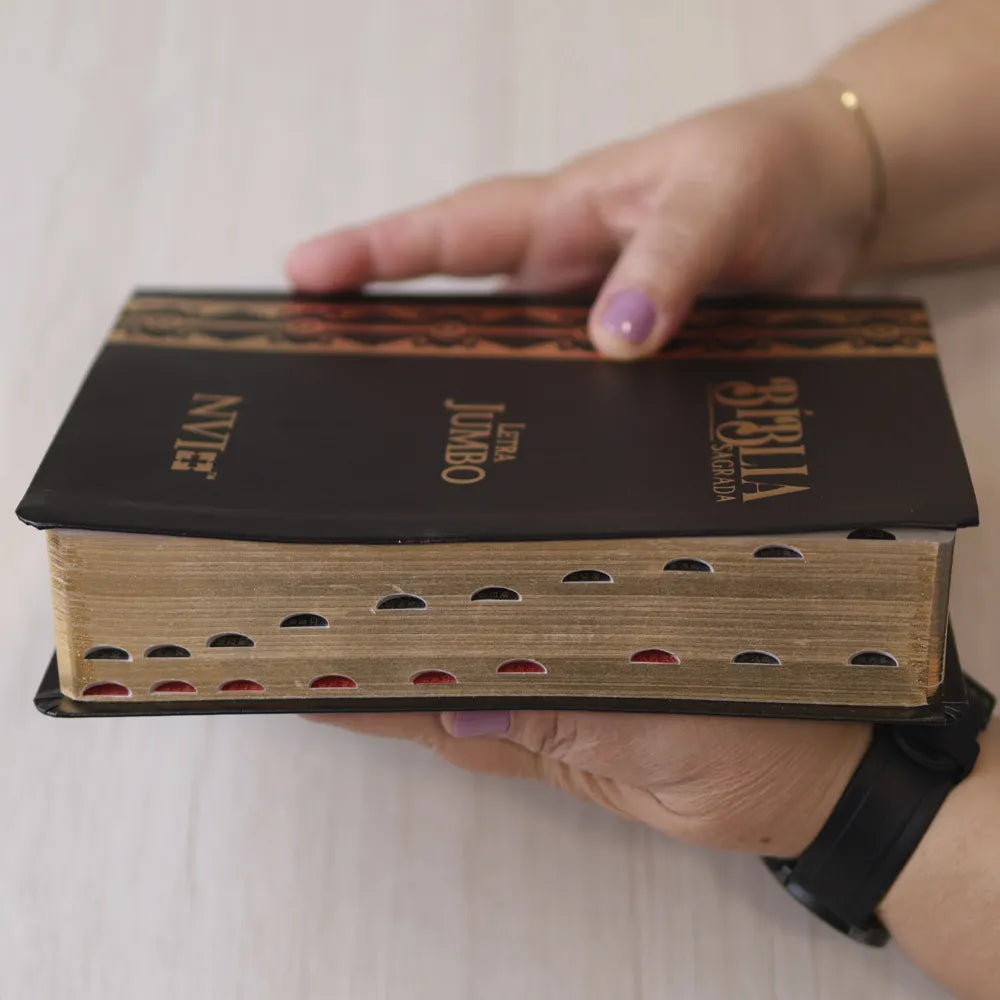 Bíblia Sagrada Letra Jumbo NVI Capa Arabesco Preta Lateral