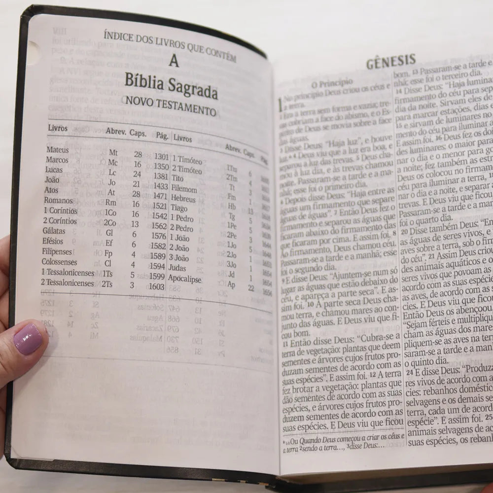 Bíblia Sagrada Letra Jumbo NVI Capa Arabesco Preta Novo