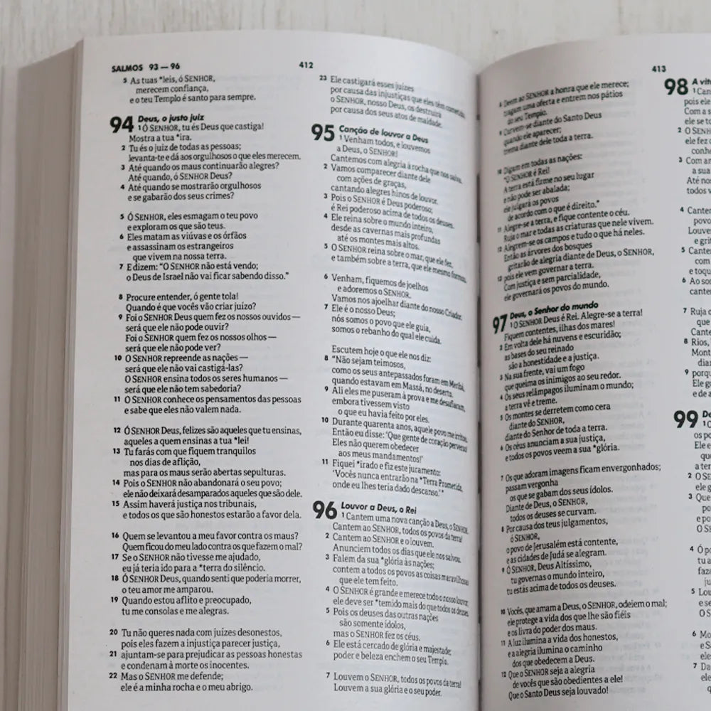 Bíblia Sagrada NTLH Refúgio Brochura letra
