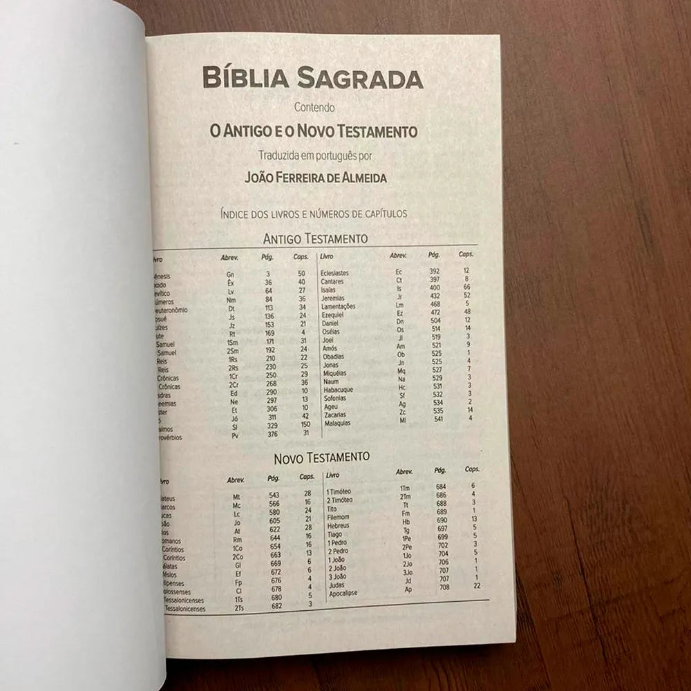 Bíblia Sagrada Salvos Pela Graça ARC Letra Normal Capa Brochura Índice