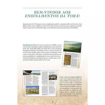 Ensinamentos da Torá Apresentação