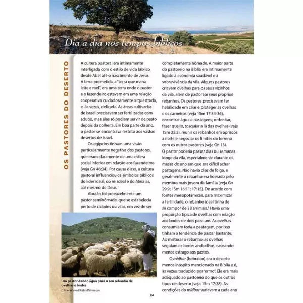 Ensinament os da Torá Ovelhas