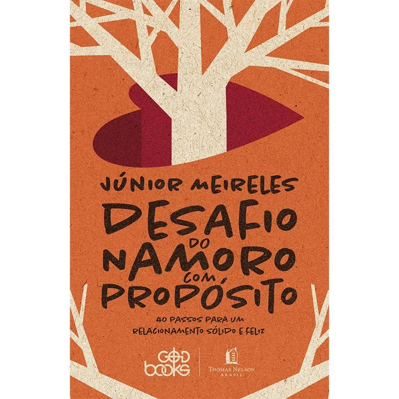 livro Desafio do Namoro com Propósito  Junior Meireles