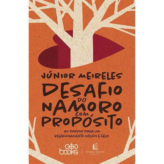 livro Desafio do Namoro com Propósito  Junior Meireles