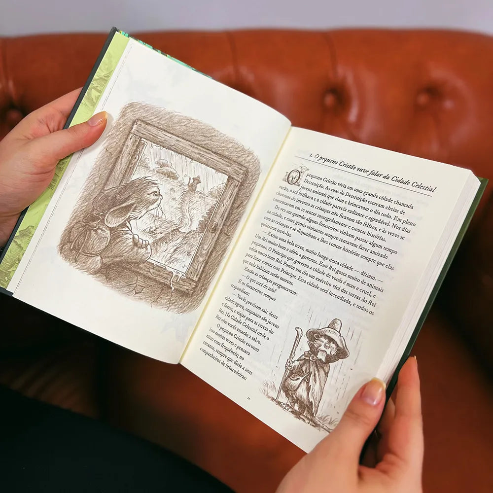 livro O Pequeno Peregrino Ilustrado Cidade