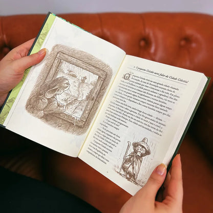 livro O Pequeno Peregrino Ilustrado Cidade