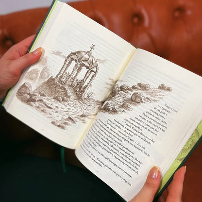 livro O Pequeno Peregrino Ilustrado Coreto