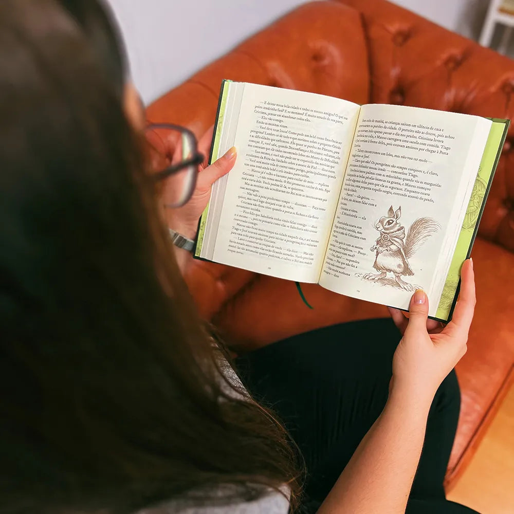 livro O Pequeno Peregrino Ilustrado Esquilo