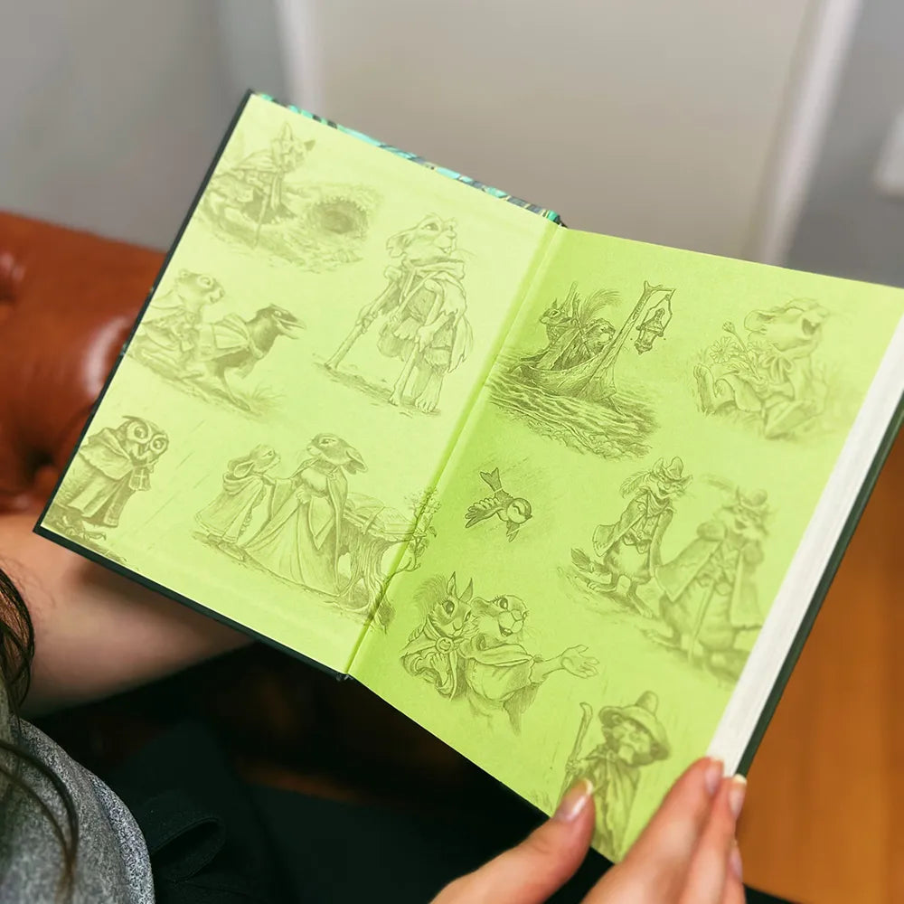 livro O Pequeno Peregrino Ilustrado Gravuras