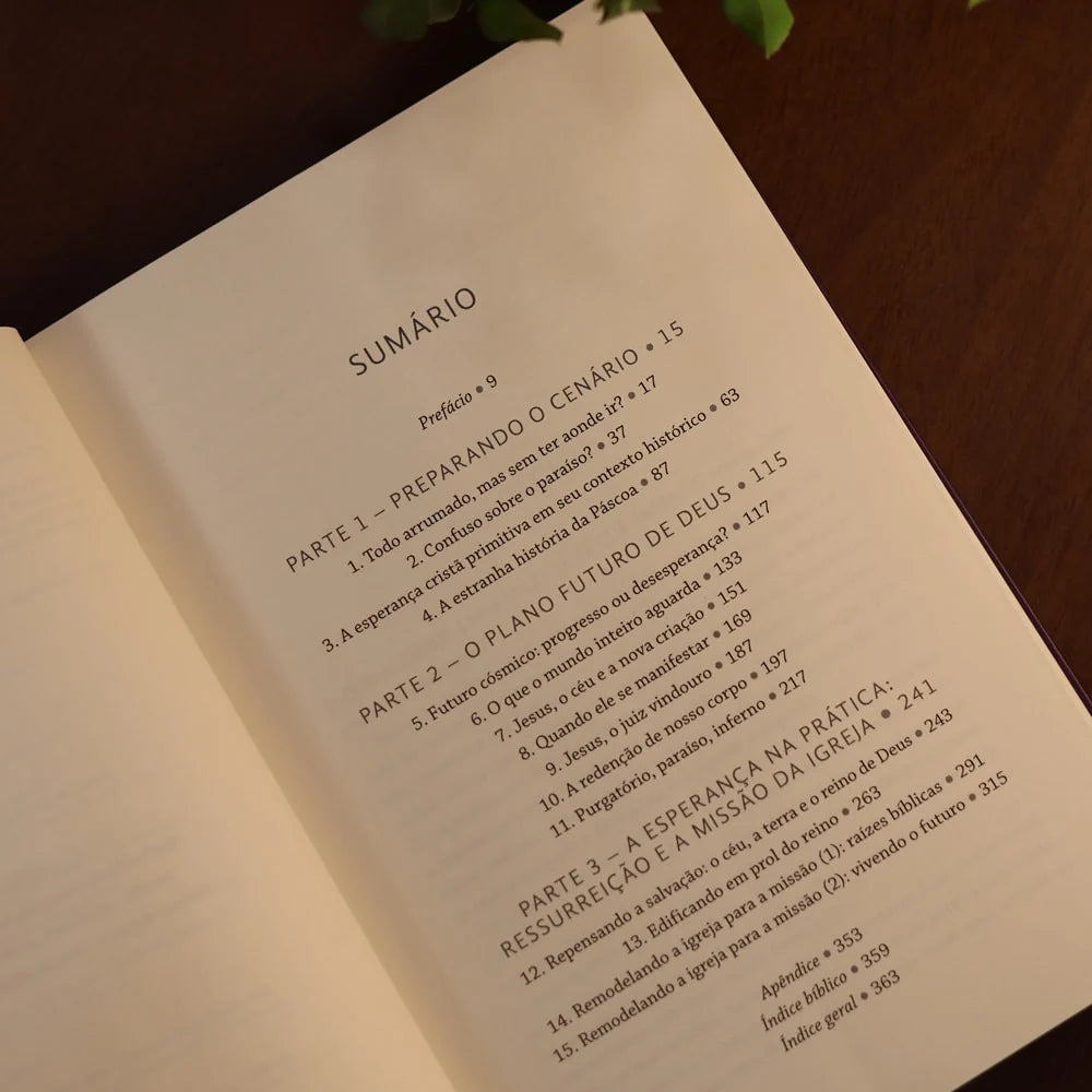 Surpreendido Pela Esperança N.T. Wright Sumário